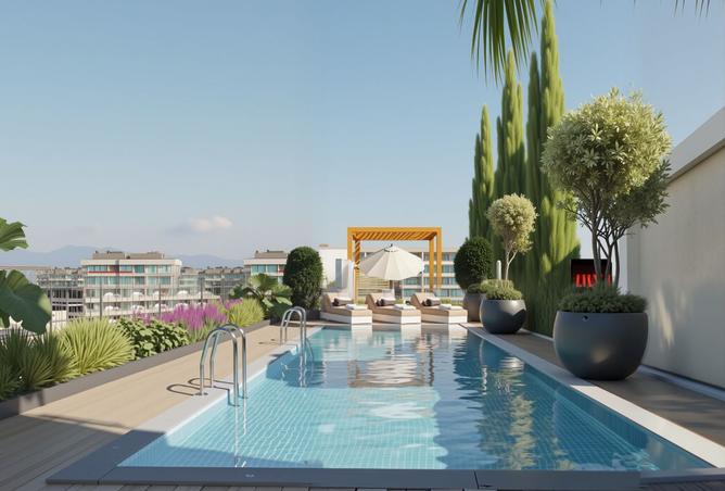 15991818 - Property Image 3