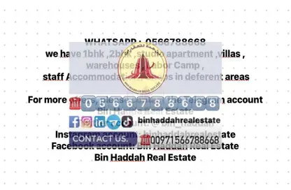 شقة - 1 حمام للايجار في ميدان الرولة - منطقة الرولة - الشارقة