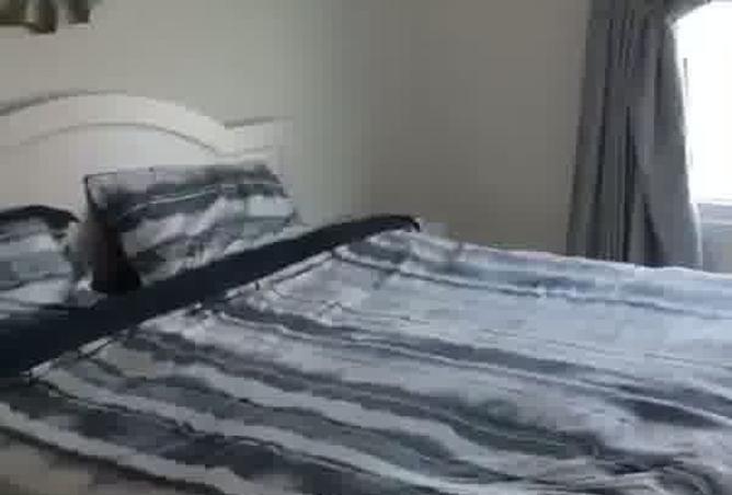 15609526 - Property Image 3