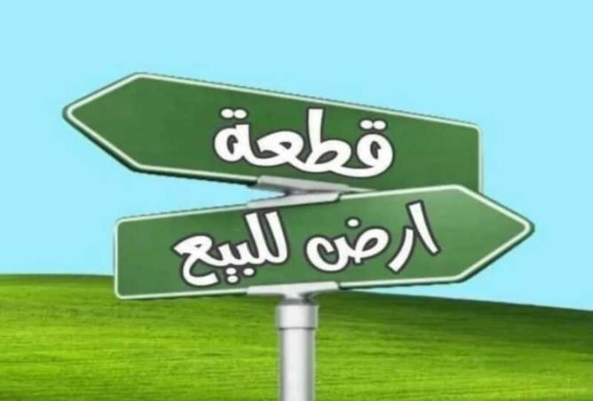 15309591 - صورة العقار 2