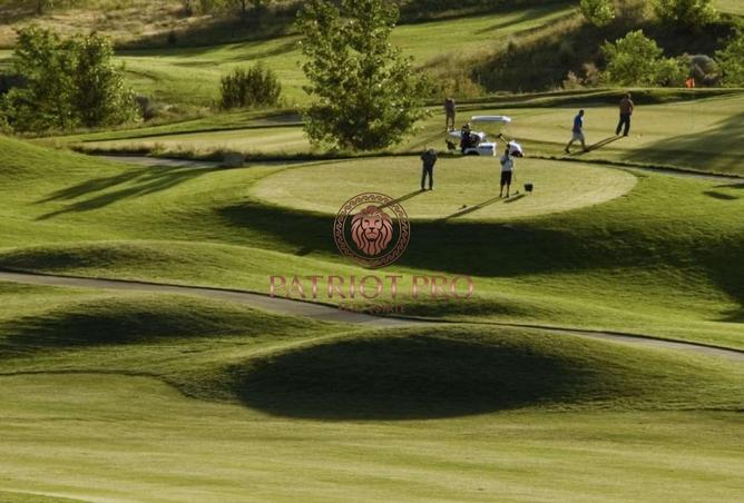 15831938 - صورة العقار 3