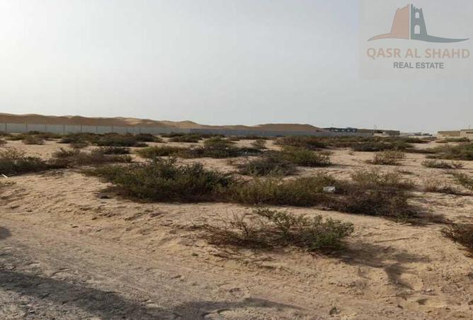 15683919 - Property Image 3