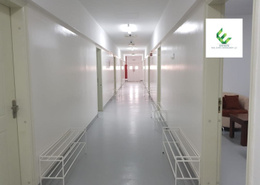Labor Camp for rent in M-37 - Mussafah Industrial Area - Mussafah - Abu Dhabi