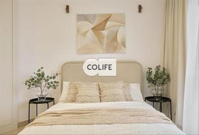 16062394 - Property Image 3