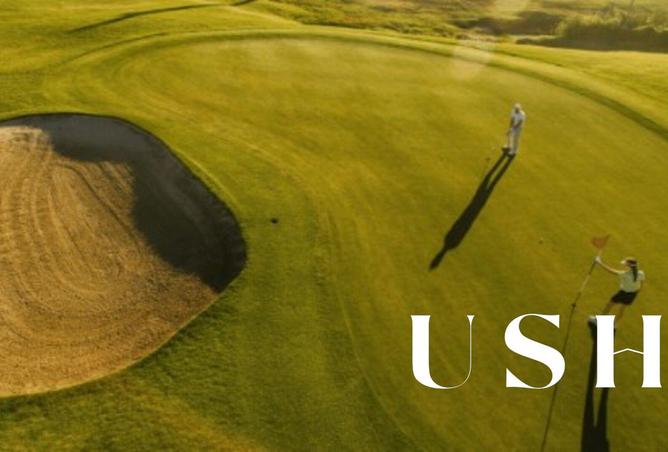 15944699 - Property Image 3