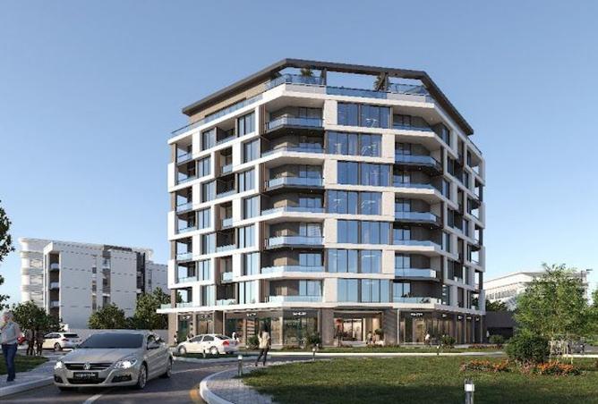 15118826 - Property Image 3