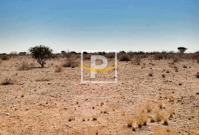 14970464 - Property Image 3