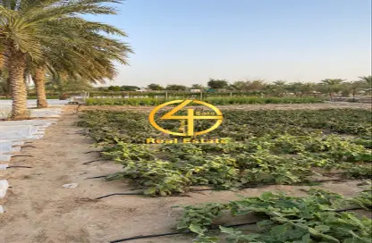 Garden image for: Farm - Studio for sale in Al Ajban - Abu Dhabi, Image 1