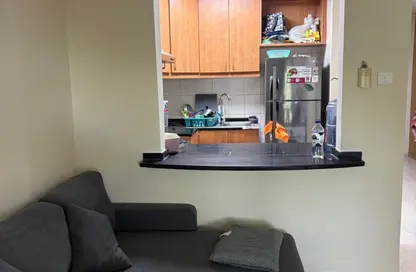 Apartment - Studio - 1 Bathroom for rent in Building 148 to Building 202 - Mogul Cluster - Discovery Gardens - Dubai