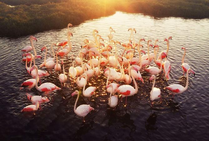 15376547 - Property Main Image