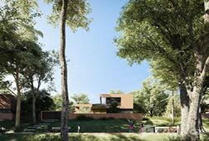 15953372 - Property Image 2