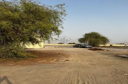 صورة لـ منظر مائي. أرض - استوديو للبيع في القصيدات - رأس الخيمة ، صورة رقم 1