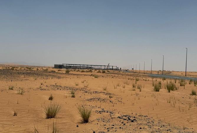 16033774 - Property Image 3