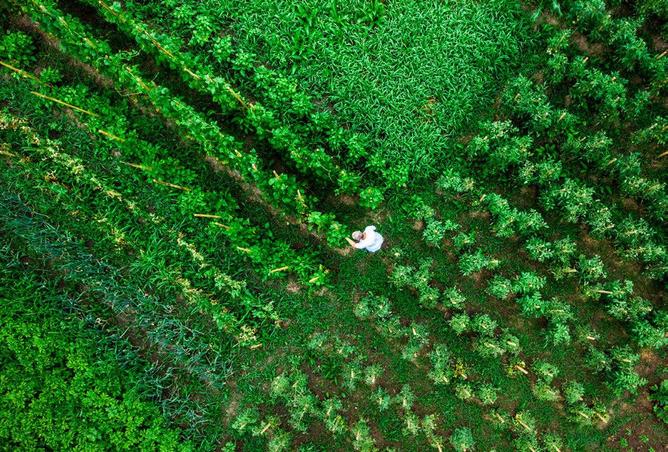 16030351 - صورة العقار 3