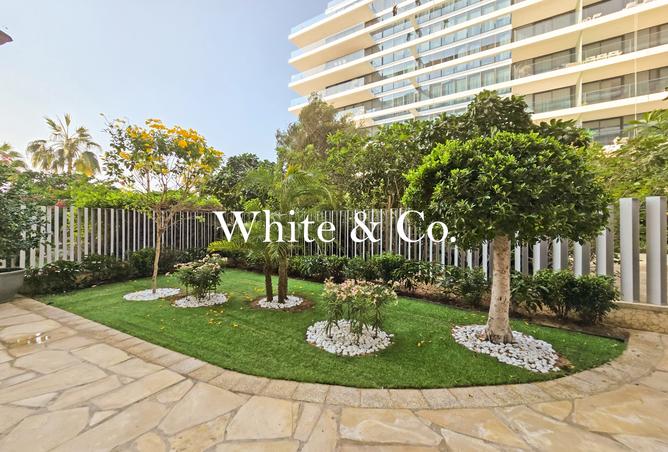 15536486 - Property Image 3