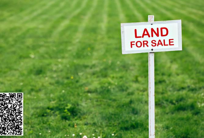 15577724 - Property Image 2