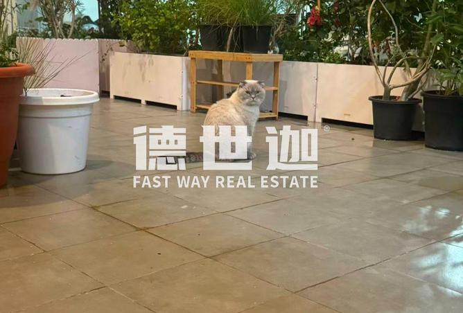 15753591 - Property Image 2