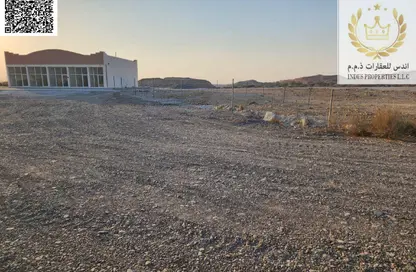 أرض - استوديو للبيع في المنامة - عجمان