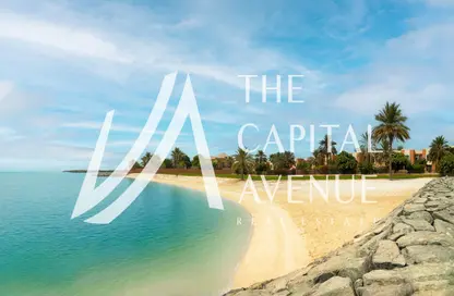 Villa - 4 Bedrooms - 5 Bathrooms for sale in Mangrove Village - Rabdan - Abu Dhabi