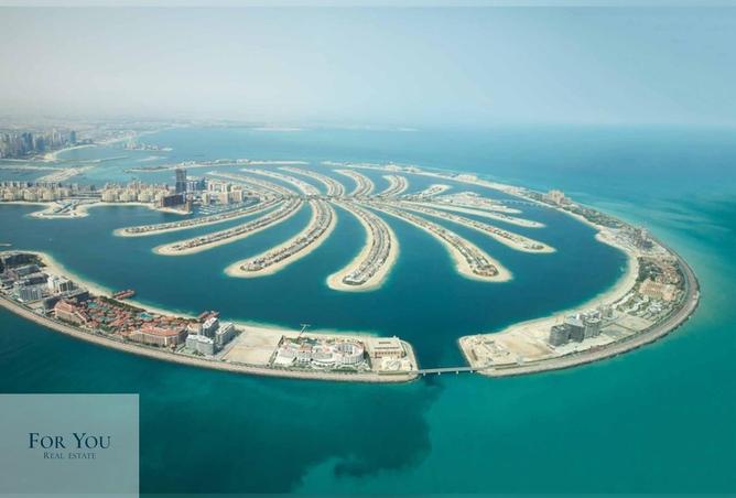 15516680 - صورة العقار 3