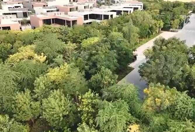 15526300 - صورة العقار 2