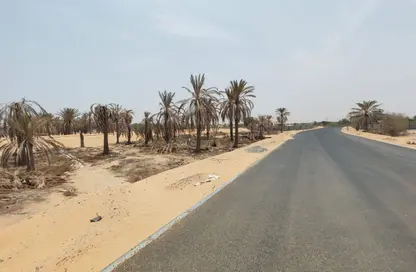 أرض - استوديو للبيع في الزاهية جاردنز - الزاهية - عجمان