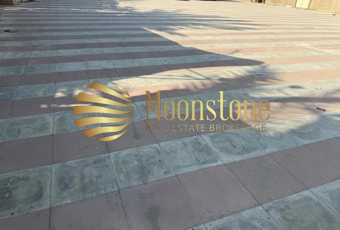 15620591 - Property Image 3