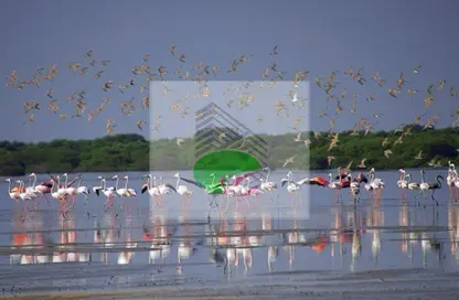 شقة - 2 غرف نوم - 3 حمامات للبيع في مجمع الجولف - الزورا - عجمان