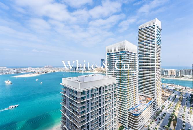 15601751 - صورة العقار 3