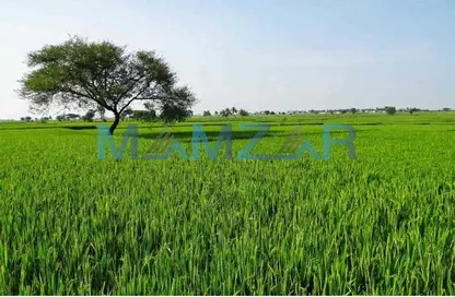 Farm for sale in Ajban | Spacious area |