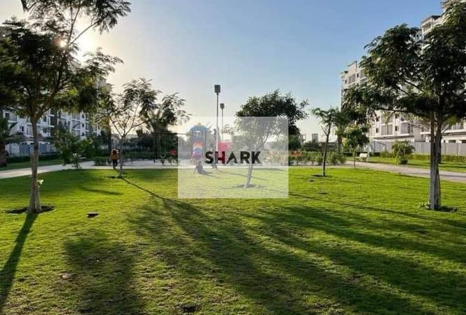 15521918 - Property Image 3