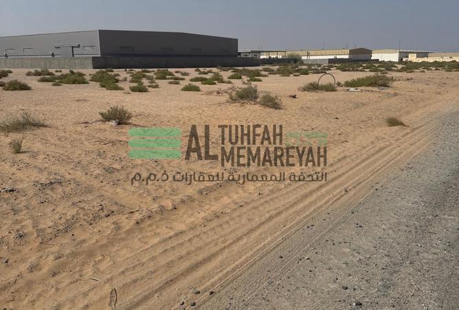 15664351 - Property Image 3