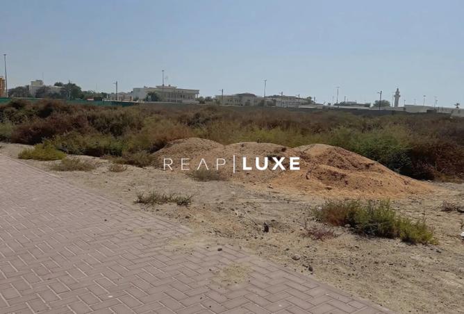 14532628 - Property Image 3