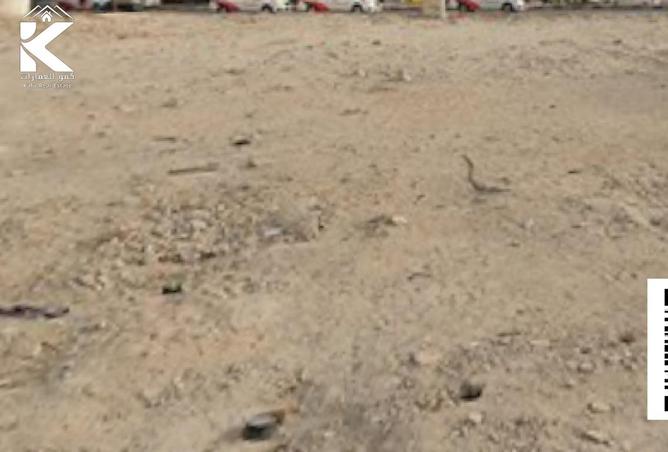 16045074 - Property Image 2