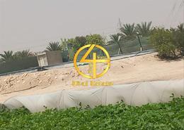 صورةتفاصيل لـ: مزرعة للبيع في سويحان - العين, صورة 1