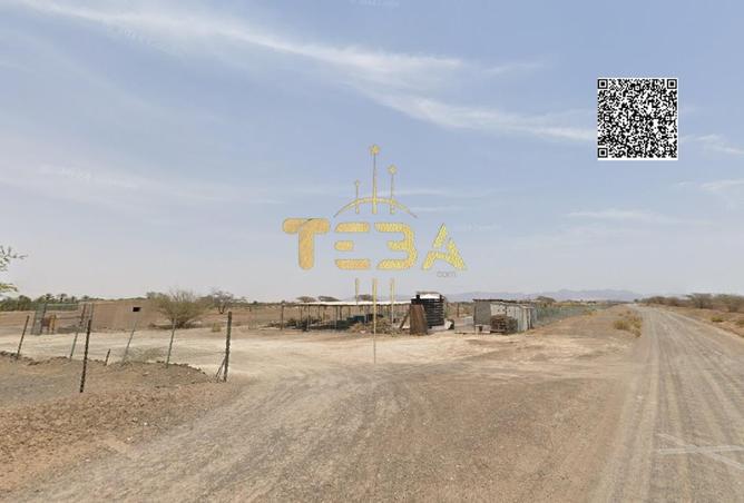 15471876 - Property Image 3