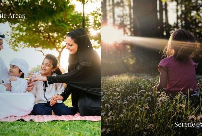 15915584 - صورة العقار 3