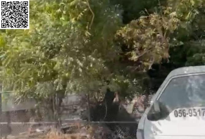 14793035 - صورة العقار 3