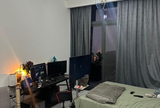 15828579 - Property Image 3