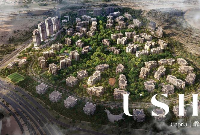 15498182 - صورة العقار 3