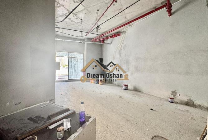 15981824 - Property Image 3