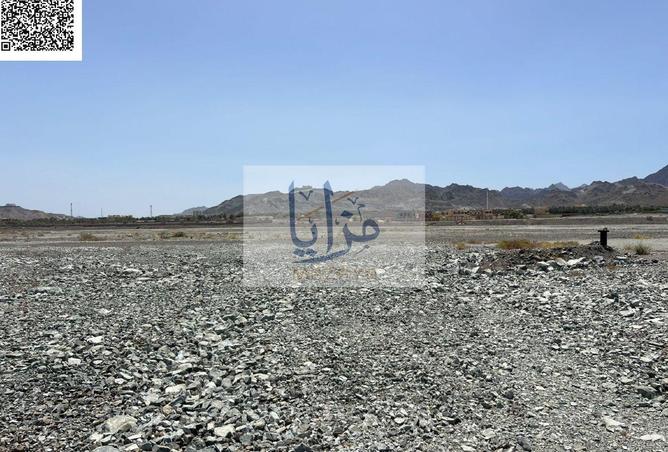 15336068 - Property Image 2