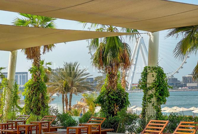 15509898 - Property Image 2