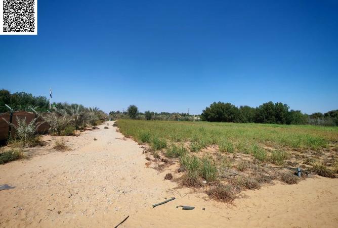 15367067 - Property Image 3