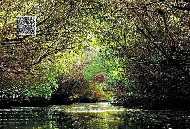 15889288 - صورة العقار 3