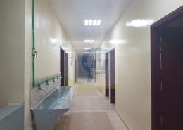 Labor Camp for rent in M-38 - Mussafah Industrial Area - Mussafah - Abu Dhabi Labor Camp for rent in M-38 - Mussafah Industrial Area - Mussafah - Abu Dhabi