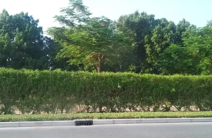 Land - Studio for sale in Jebel Ali Hills - Jebel Ali - Dubai