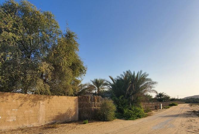 15304794 - صورة العقار 2