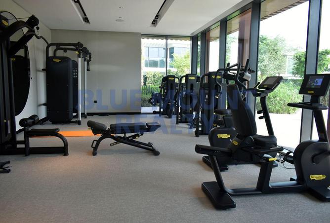 15505046 - Property Image 3