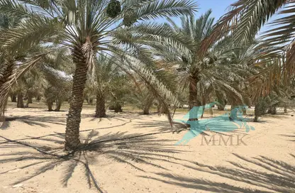 مزرعة - استوديو للبيع في الباهية - أبوظبي
